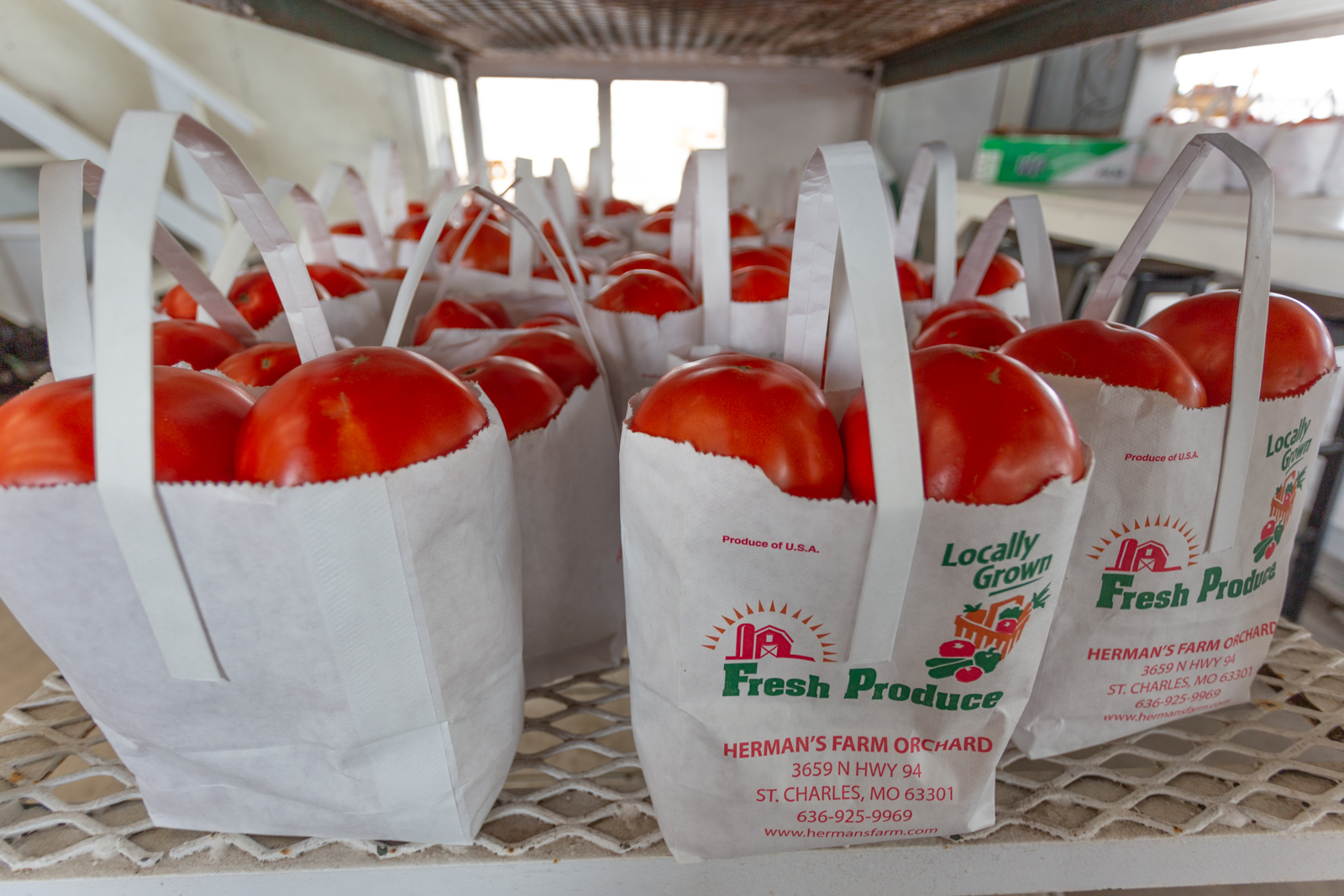 St. Louis tomatoes for sale